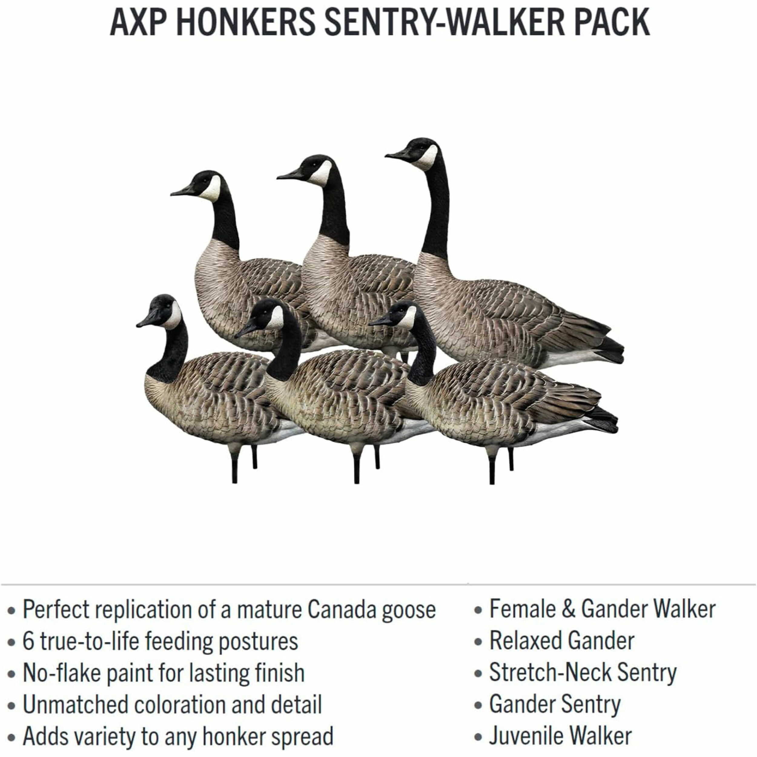  Avian X 408523 Hunting-Equipment - View #10