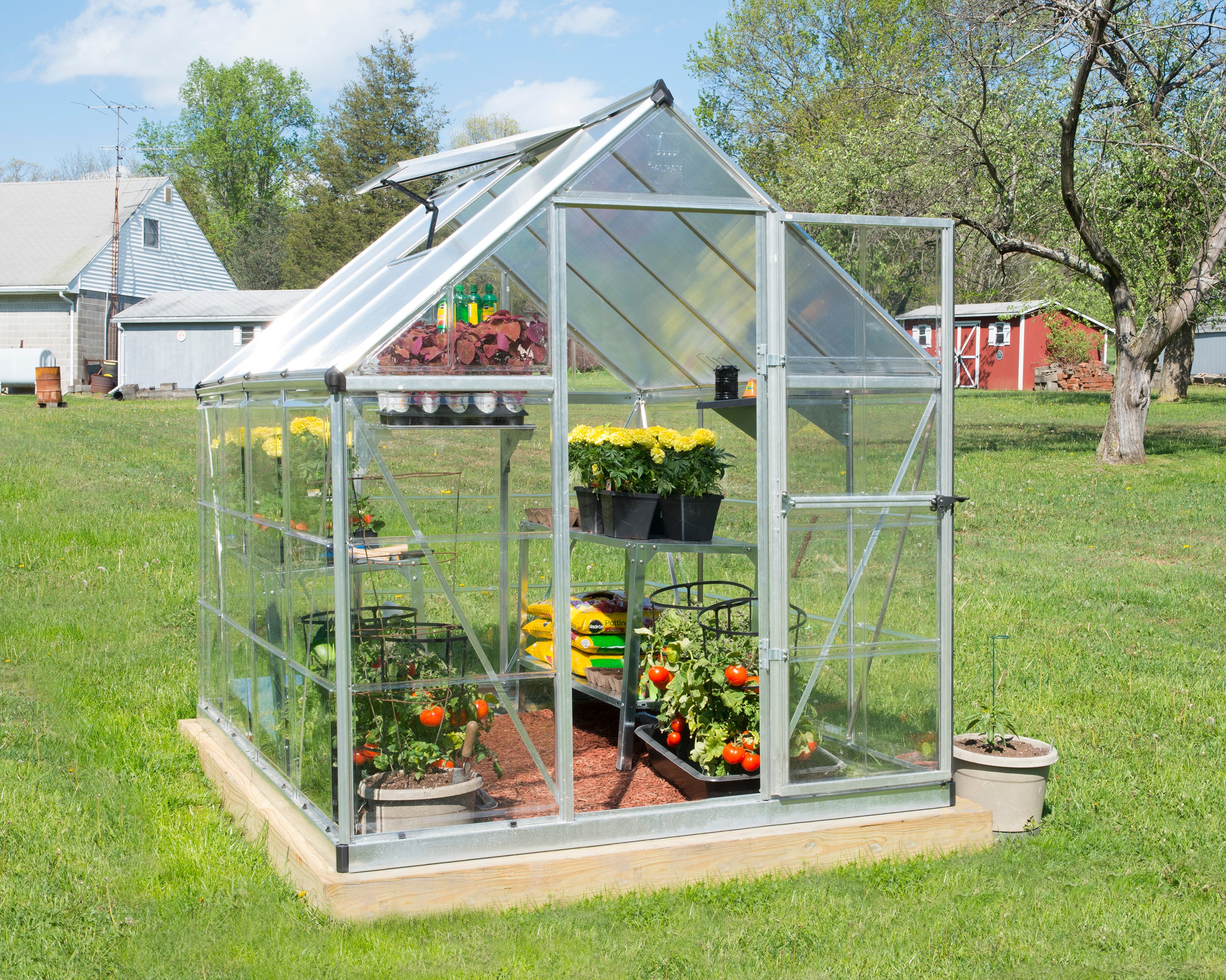 Palram Canopia 6' x 8' Silver Polycarbonate Aluminum Greenhouse