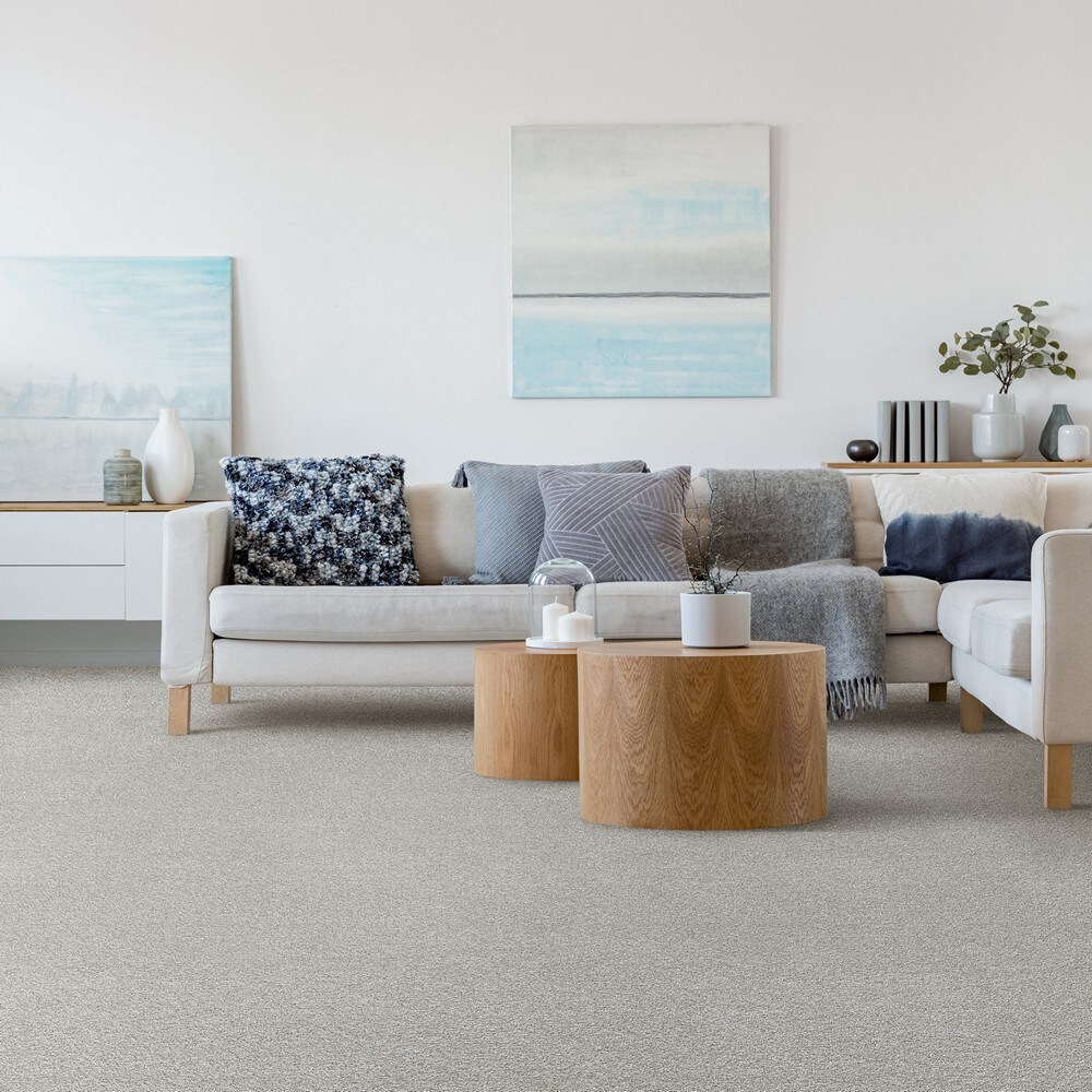 STAINMASTER PetProtect L3015-1309-0808 Carpet-Samples - View #2