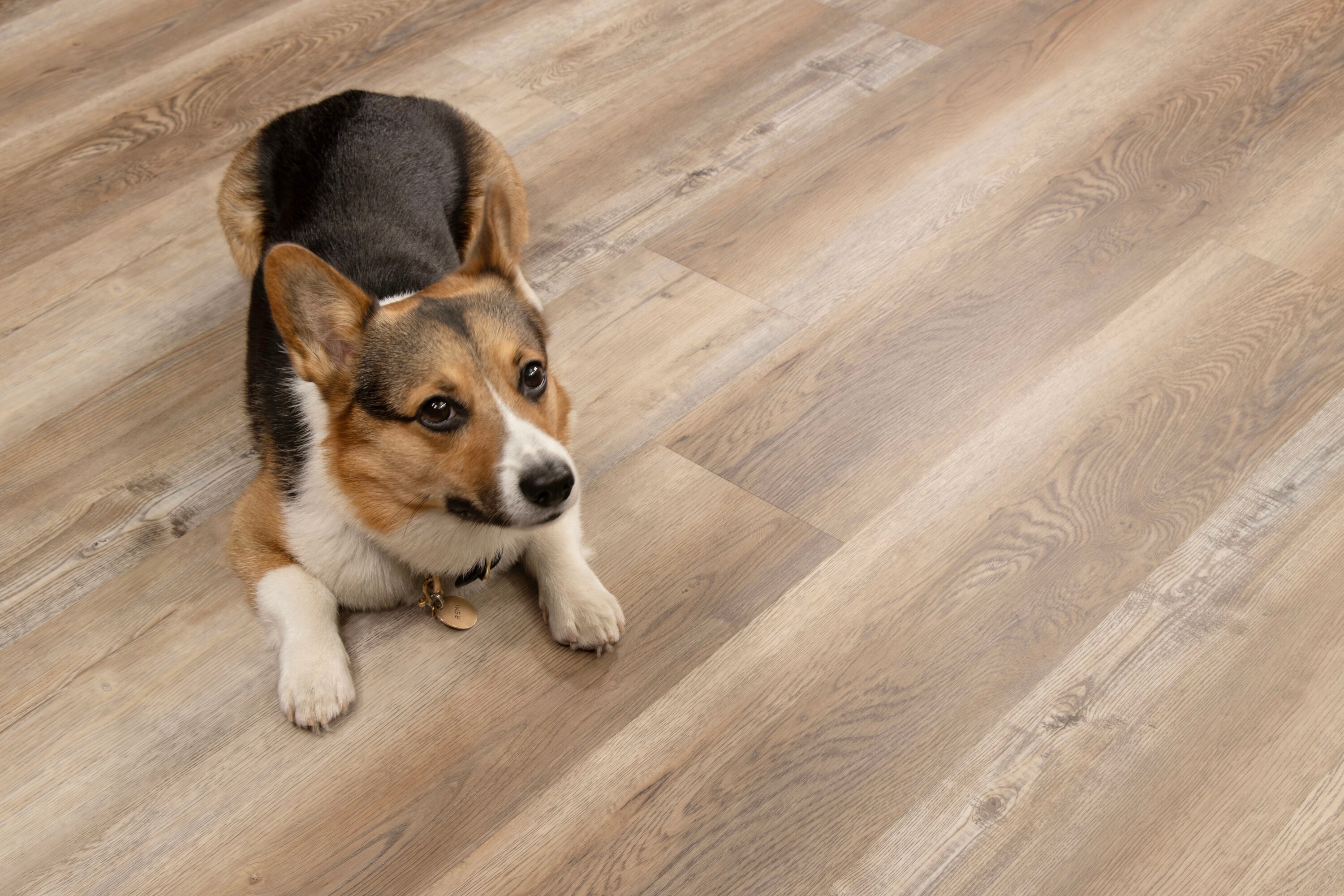 CALI 7904005400 Vinyl-Plank - View #7
