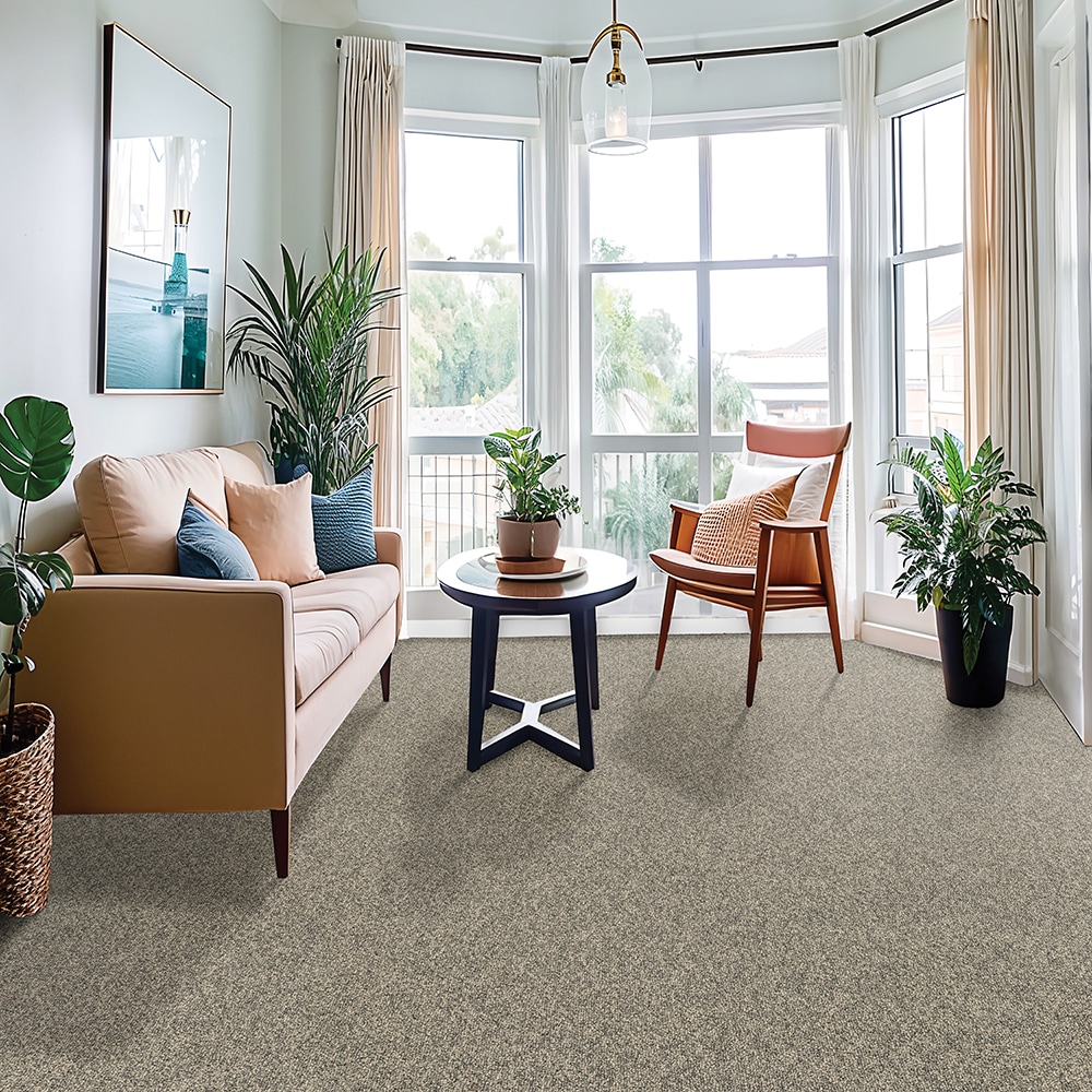  SS027-12-L004 Carpet-Panel - View #2