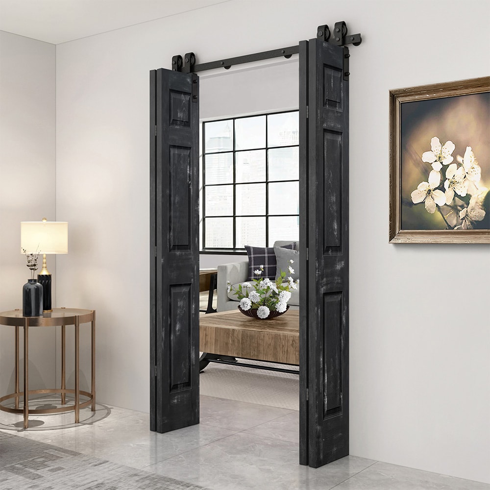 CALHOME 1905-4S+6P36-EBSRA(2 Barn-Doors - View #2