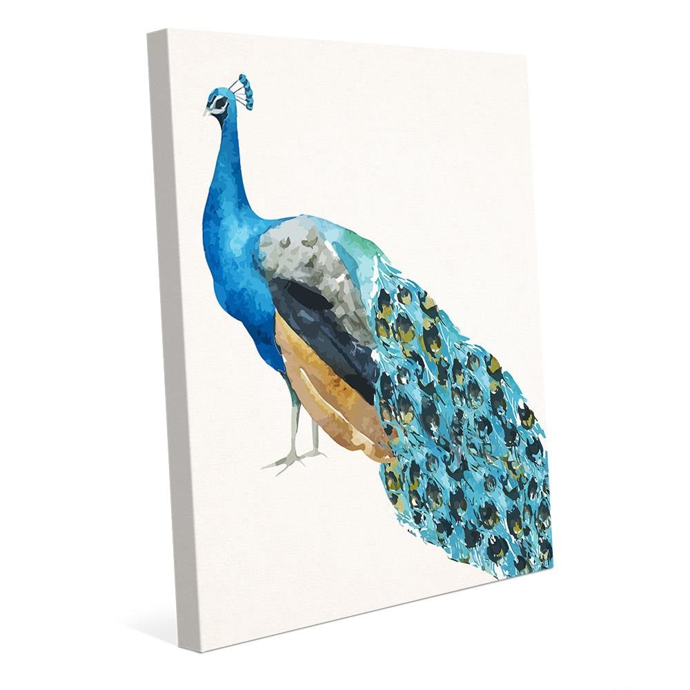 Creative Gallery Peacock 14-in H x 11-in W Animals Print on Canvas at ...