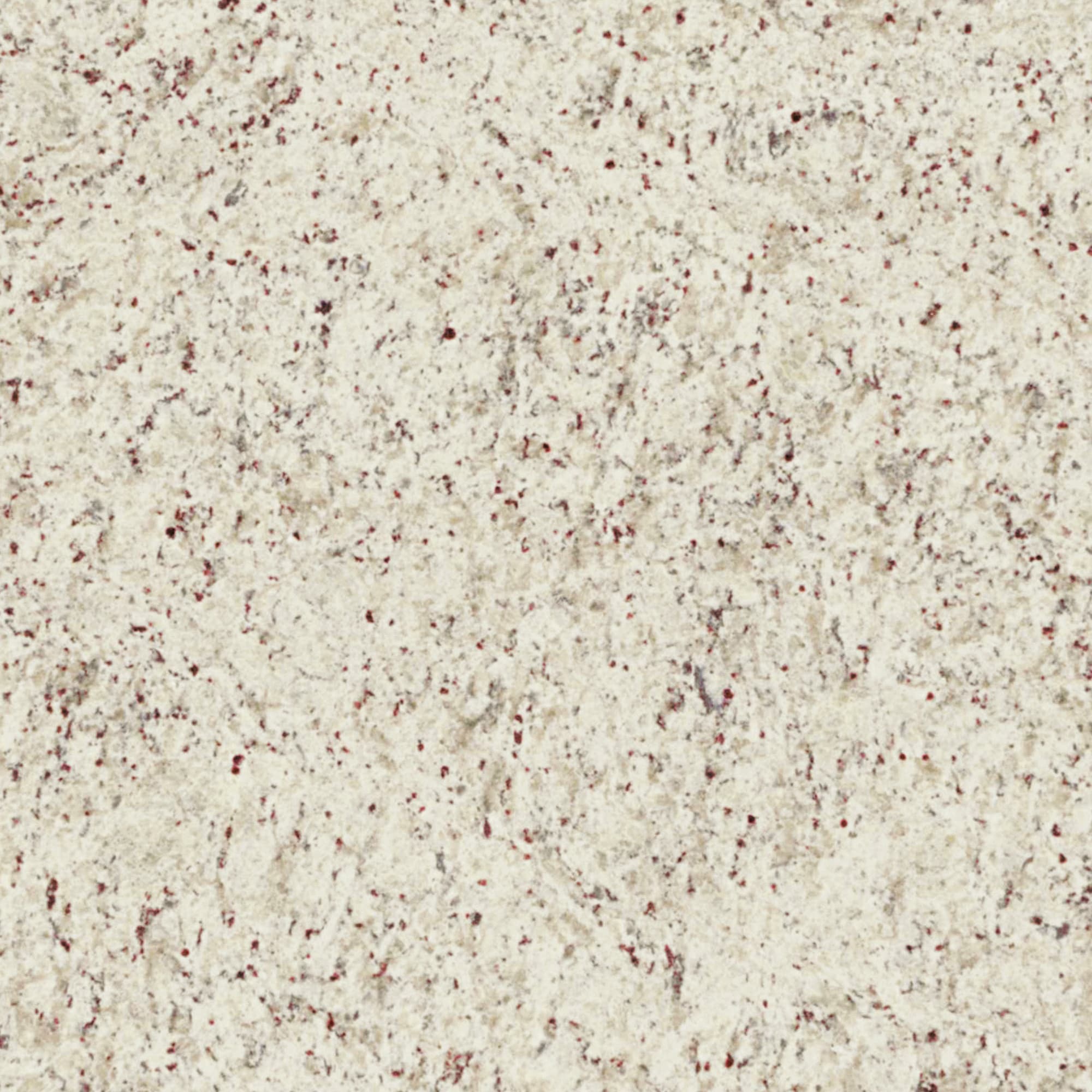 allen + roth Ornamental White Granite Off-white Kitchen Countertop ...