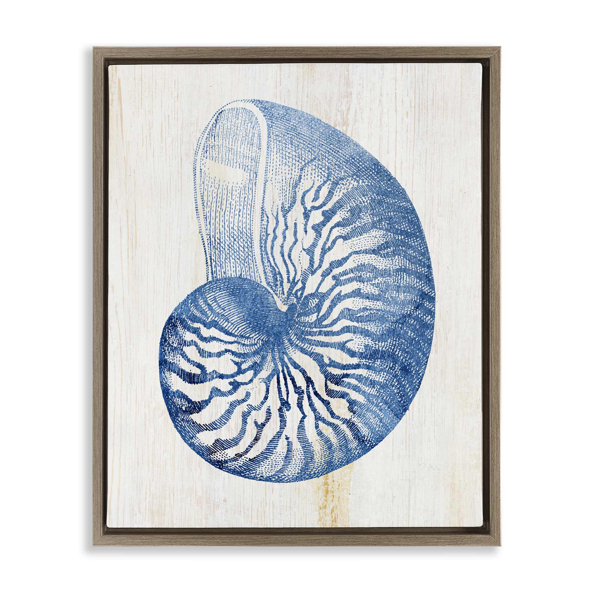 Stupell Industries BS-153-FFE-16X20 Blue Nautilus Shell Floating Frame design by Susan Arnot
