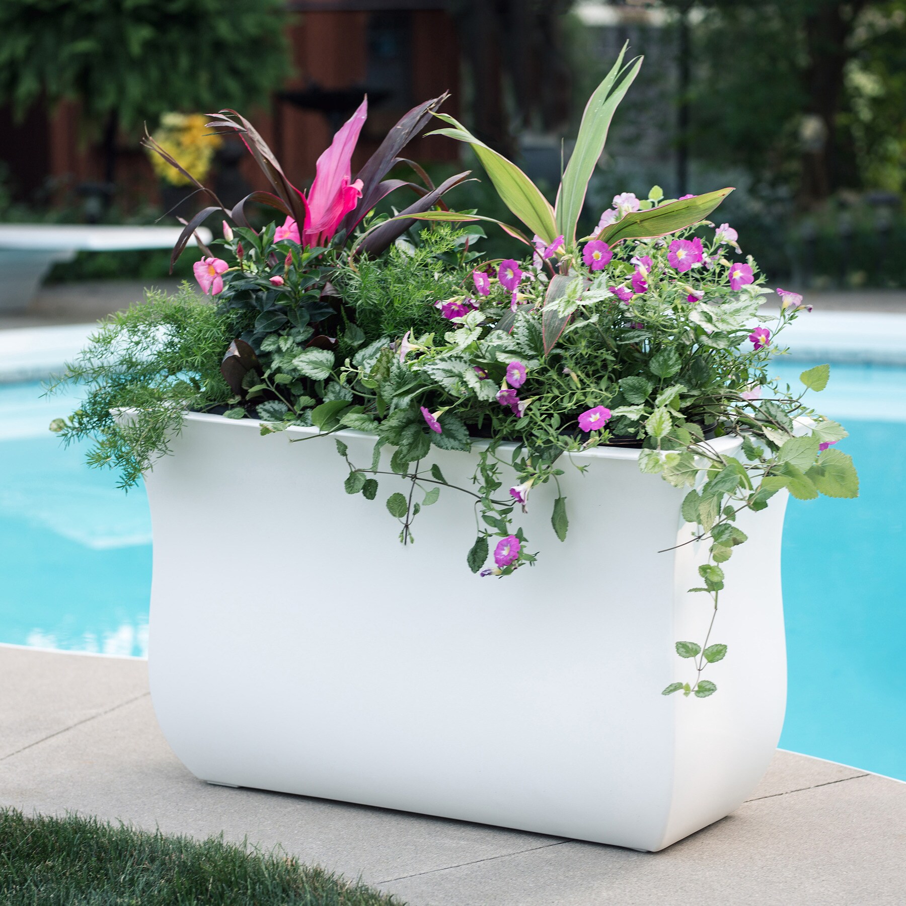 Mayne 5875-W Planter-Window-Box - View #4