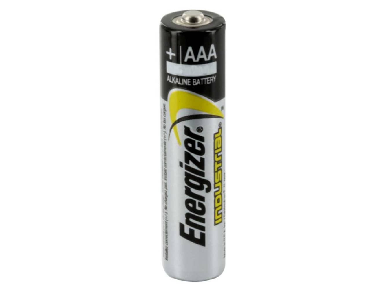 DieHard 16 AAA Batteries