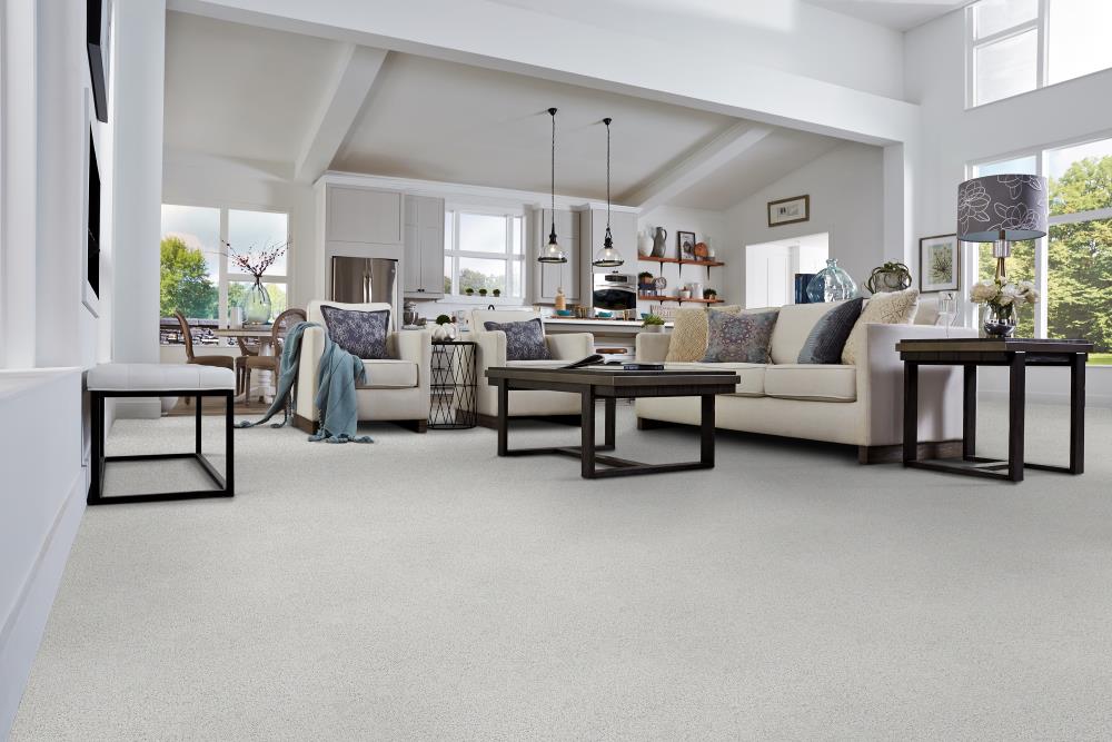 STAINMASTER DL47A-105S Carpet-Samples - View #2