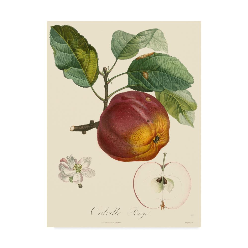 Trademark Fine Art WAG03928-C3547GG Framed 35-Inches H x 47-Inches W Kitchen Canvas Print