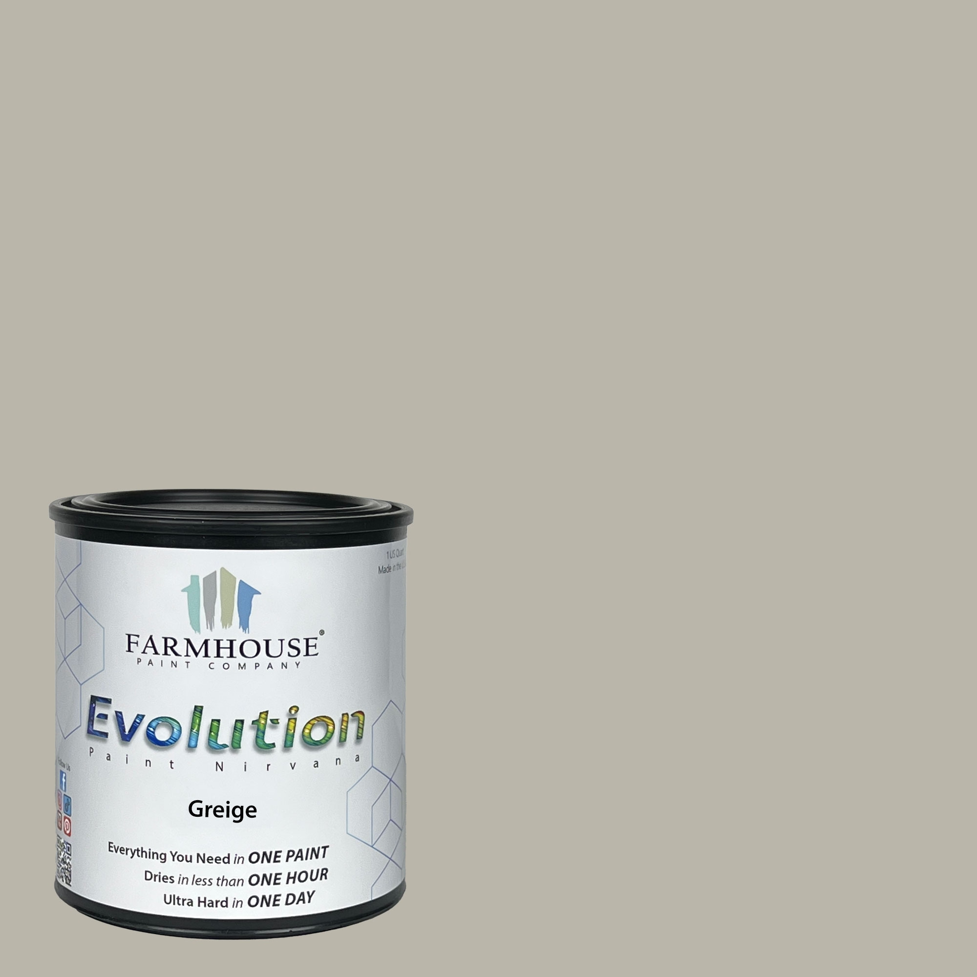 Evolution Paint EVP-GX-Q Satin Greige Enamel ( 1-quart )