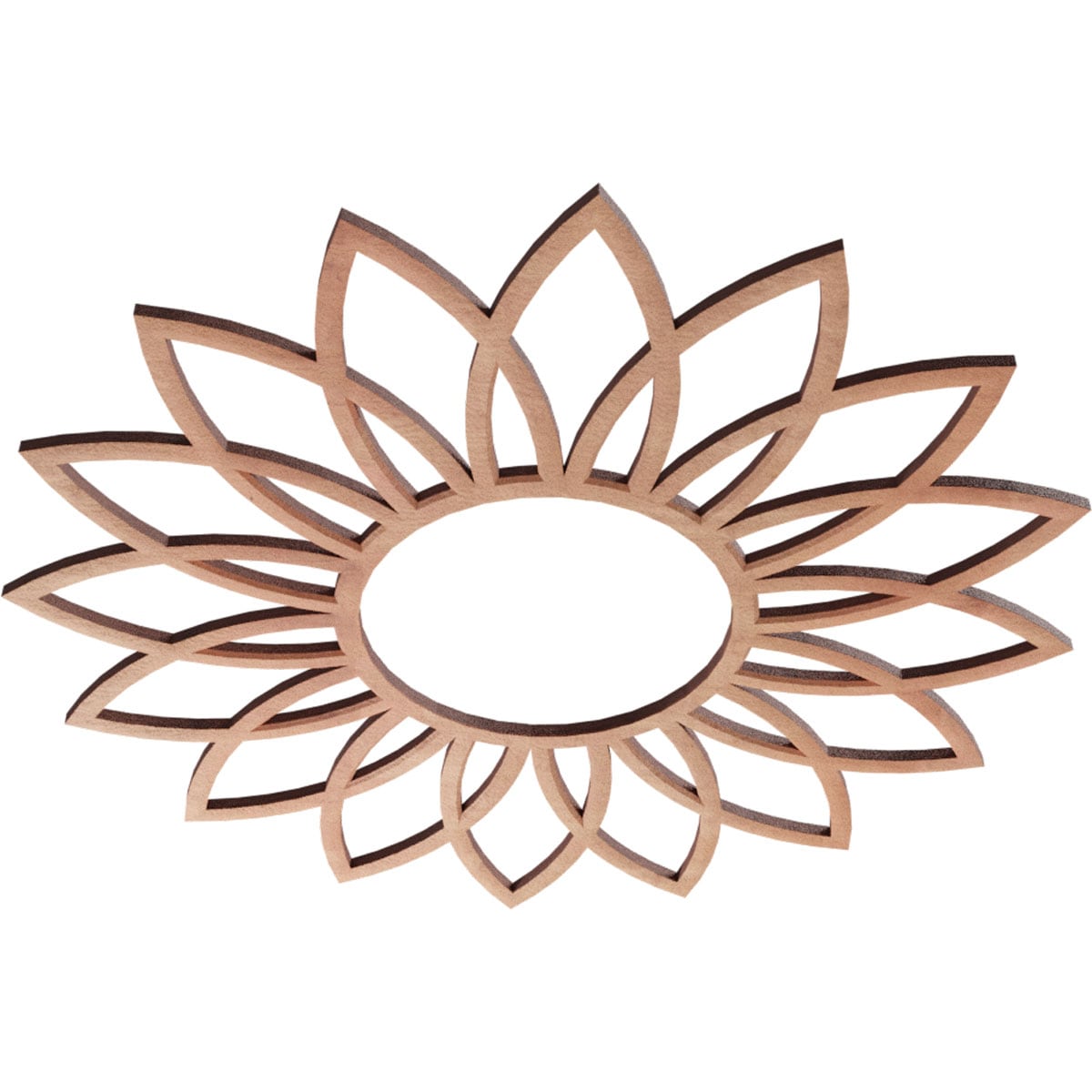 Ekena Millwork CMWP16X16X0250DACH Ceiling-Medallions - View #2