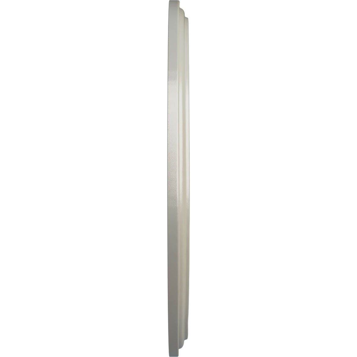 Ekena Millwork CM16GNFBS Ceiling-Medallions - View #3