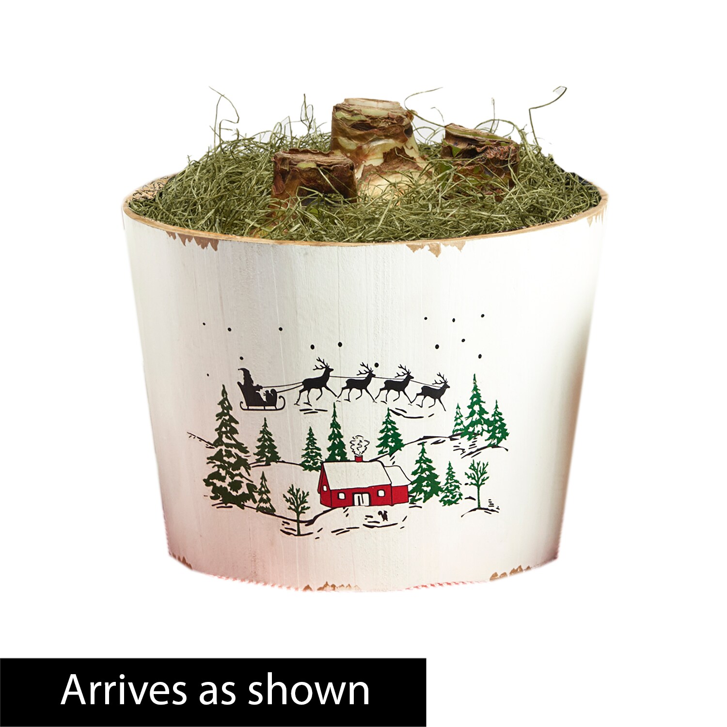 Direct Gardening 11603 Fresh-Cut-Christmas-Decorations - View #3