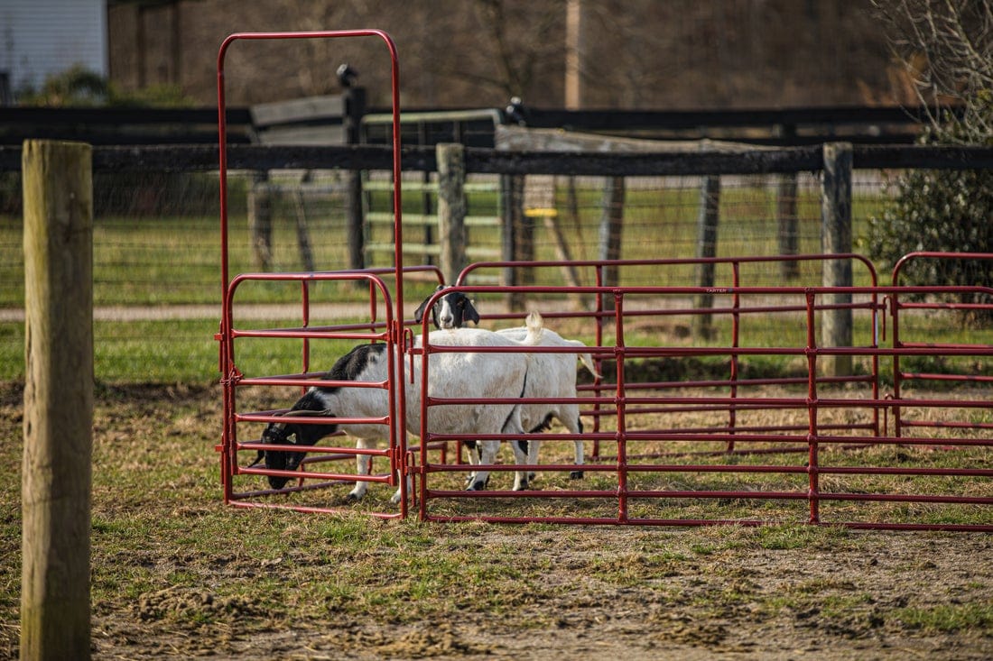 Tarter PPWTR4 Fence-Gates - View #6