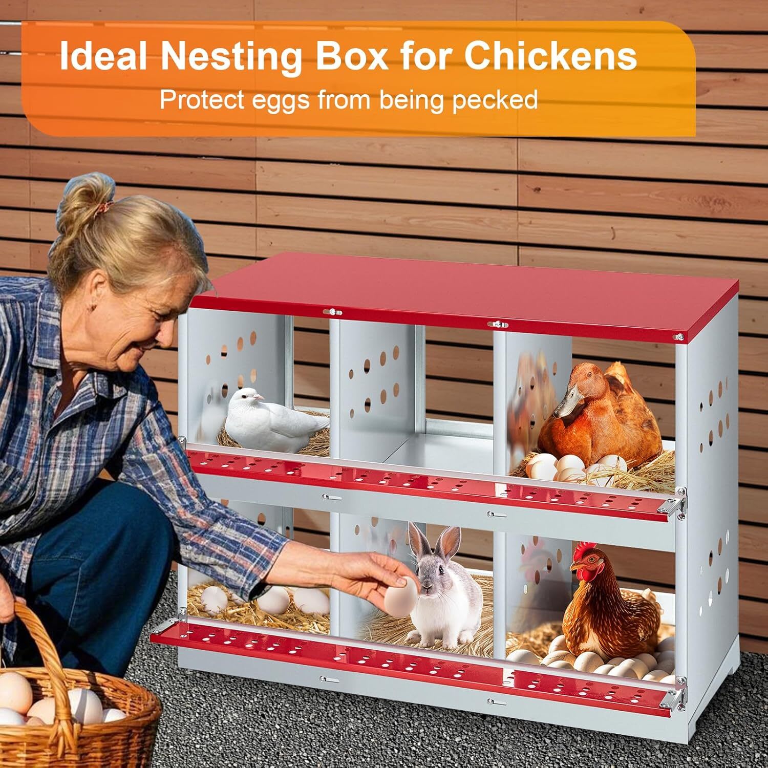 Qeetex GGL-PHO-33AQTFM4 Chicken-Coops-Rabbit-Hutches - View #2