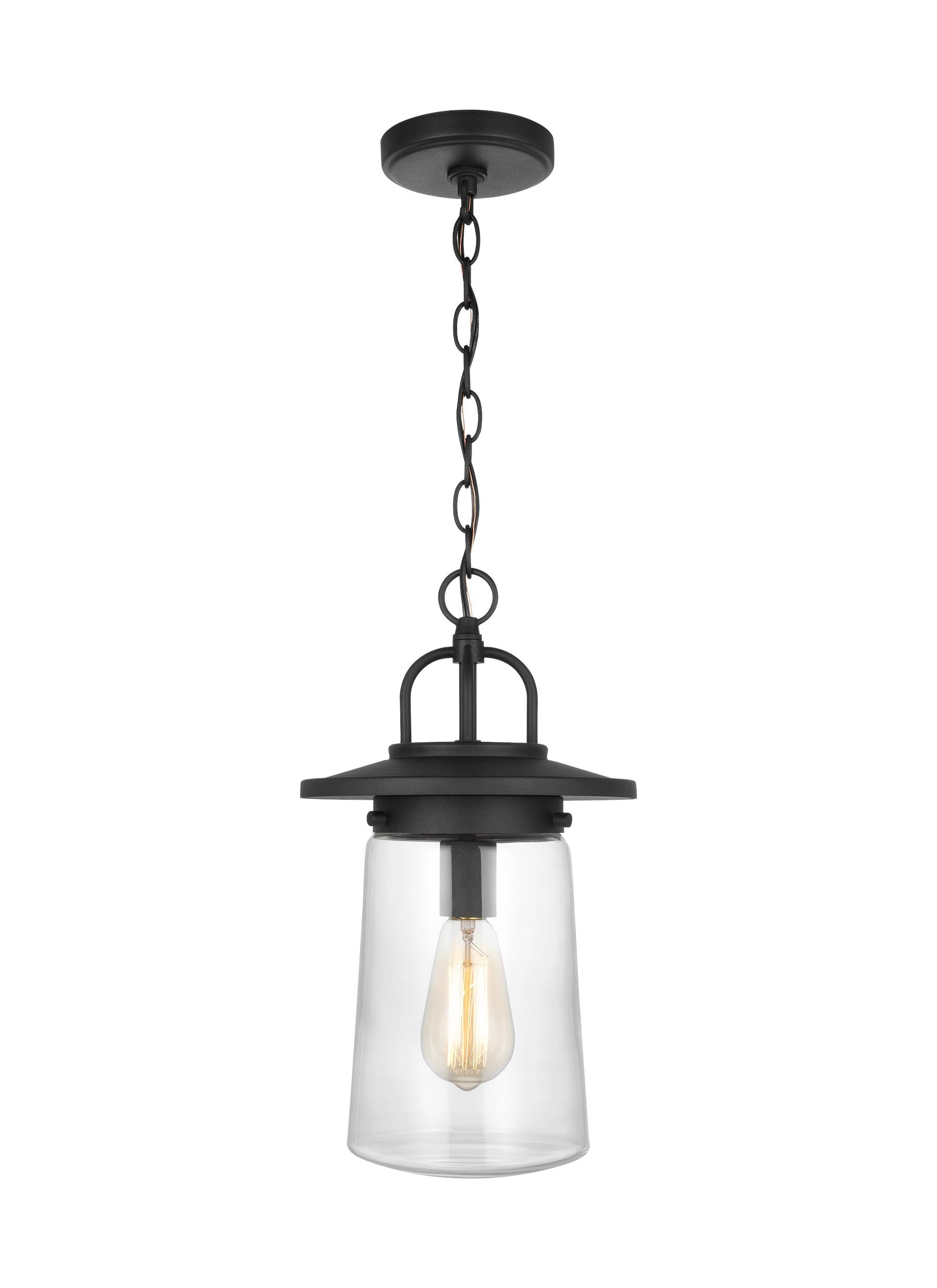 Tybee Black Clear Glass 1-Light Outdoor Pendant