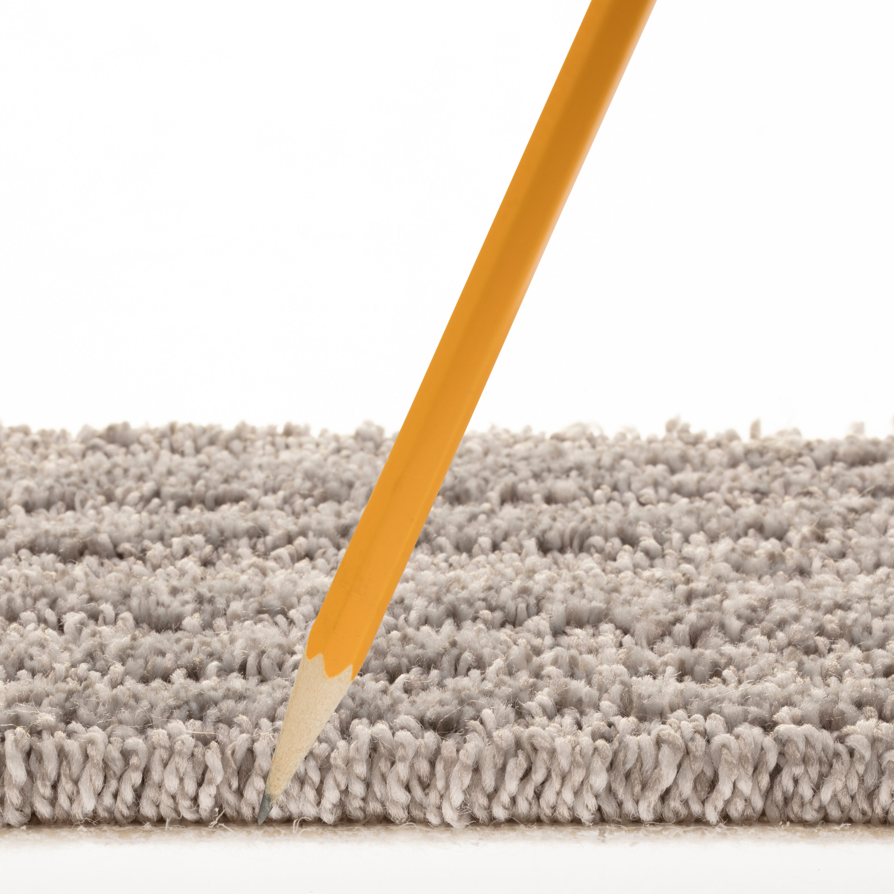 STAINMASTER 7L889 - 504 - SAMP Carpet-Samples - View #7