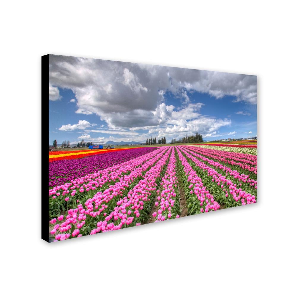Trademark Fine Art PL0150-C3047GG Wall-Art - View #2