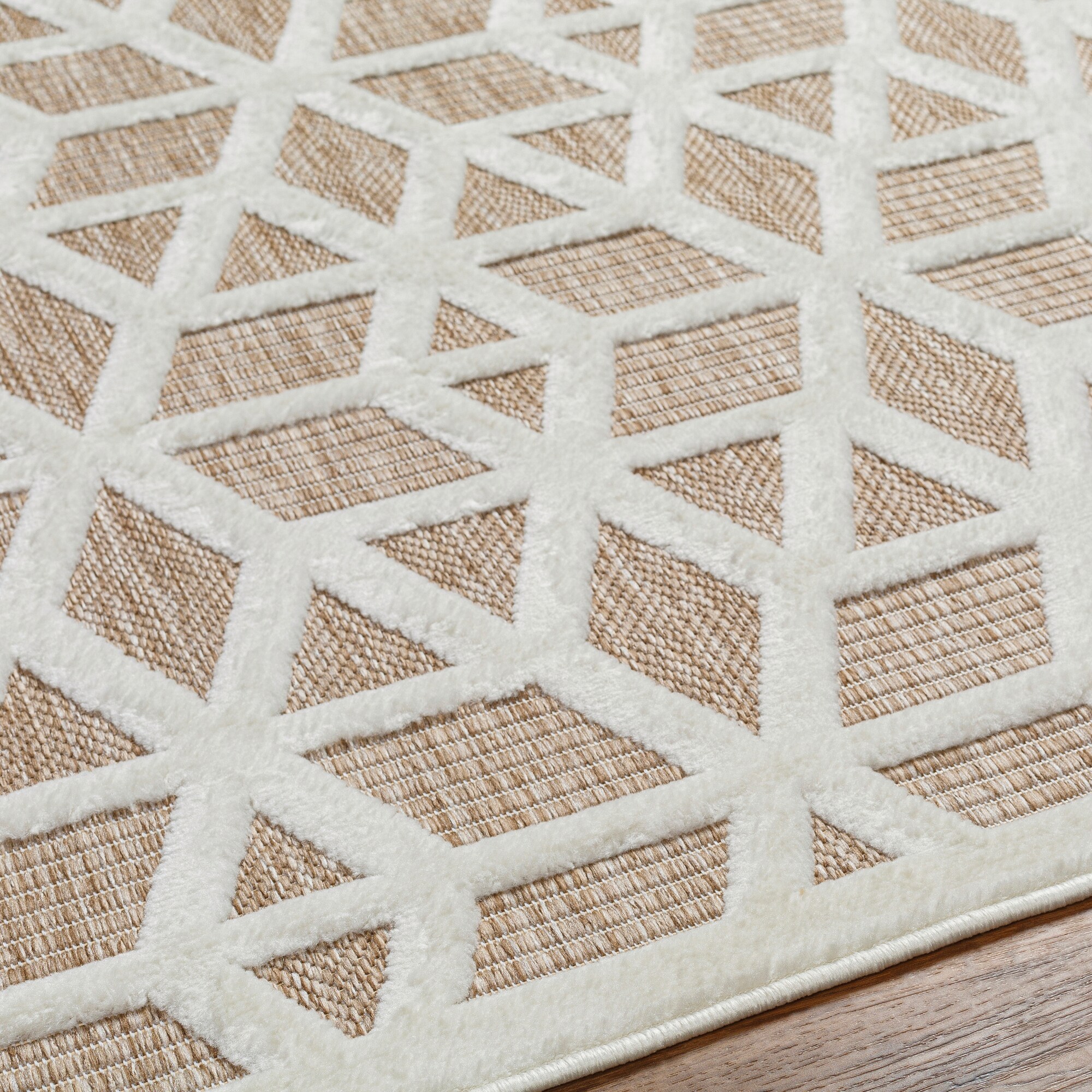 Livabliss SFG2309-679 rugs - View #5
