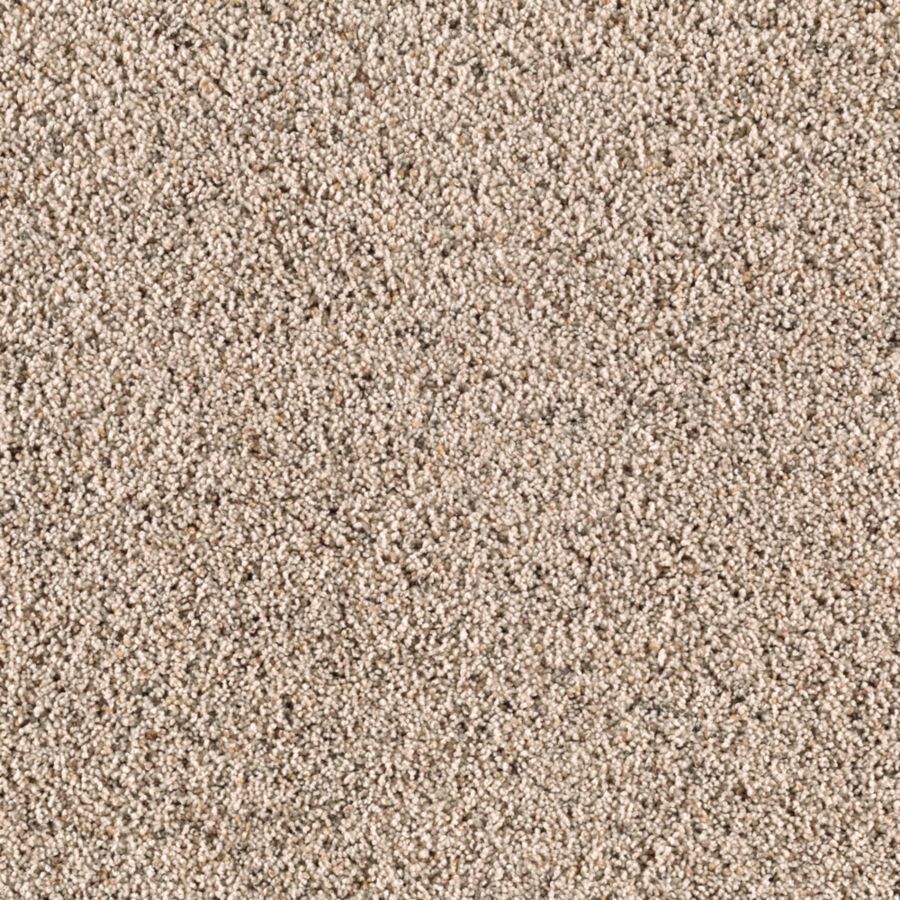 STAINMASTER S622588SHORE BE-LE I (Sample) Essentials Renewed Style I Shore Beige Shag/Frieze Carpet