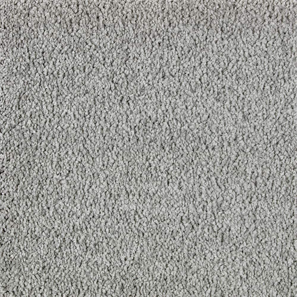 STAINMASTER PetProtect STP45-L011-0808 (Sample) Alluring Splendor III Ashford Gray 70-oz sq yard Triexta Textured Indoor Carpet