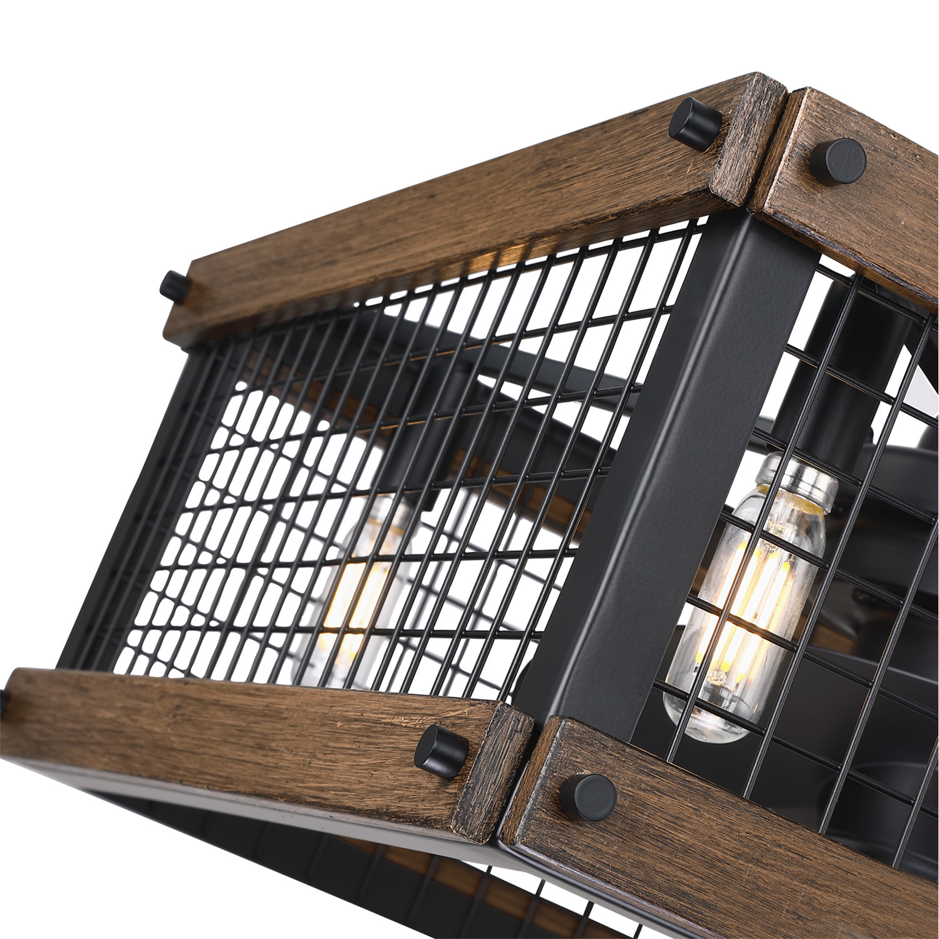 C Cattleya FAN-CL-0003 Ceiling-Fans - View #5