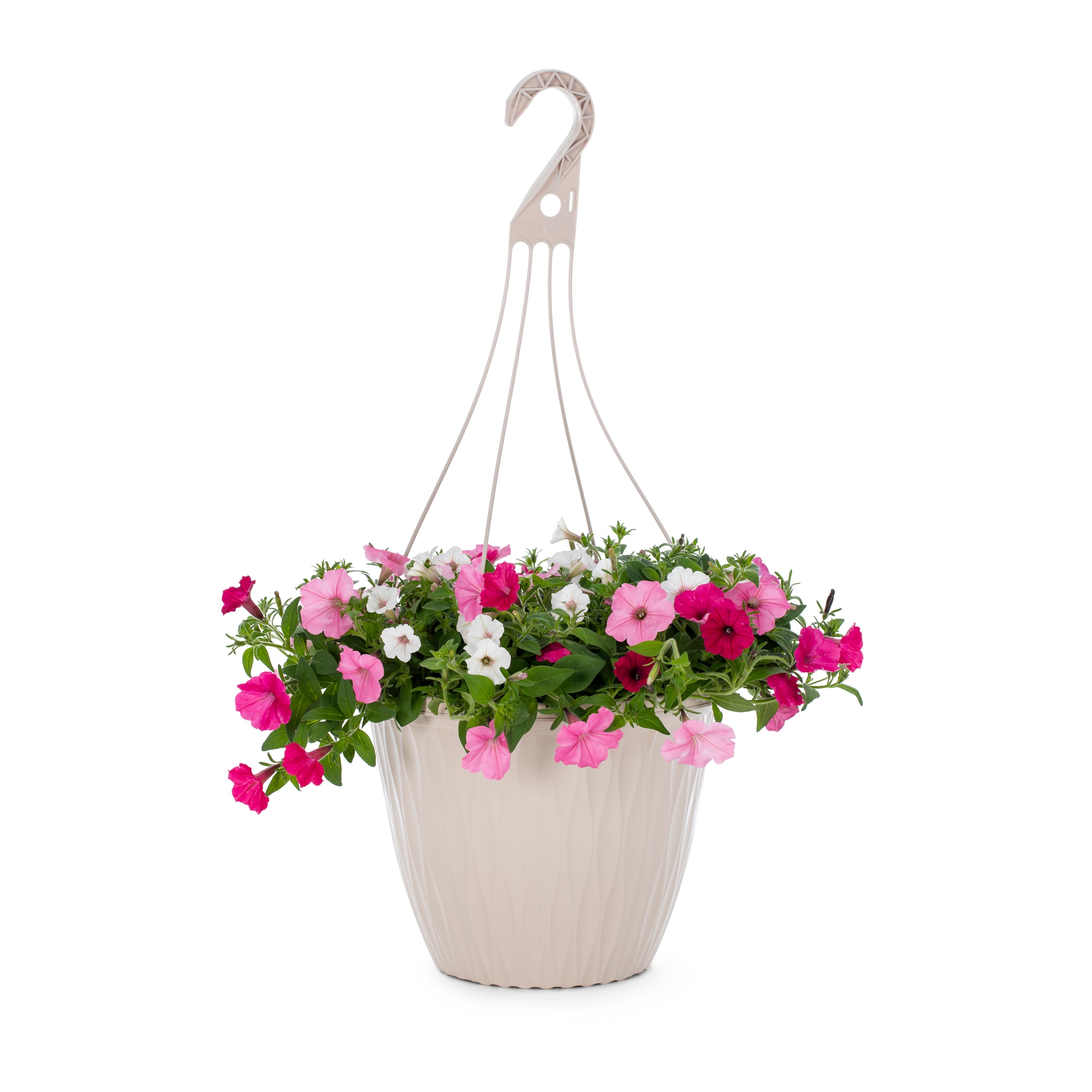 Lowe's Multicolor Above and Beyond in 3.5-Gallon Hanging Basket in the ...