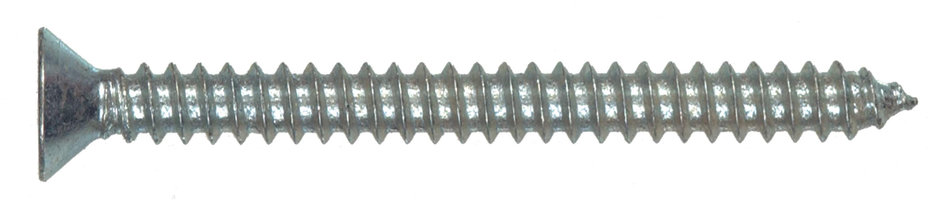 Blue Hawk 605175 #12 x Phillips -Drive Standard Sheet Metal Screws