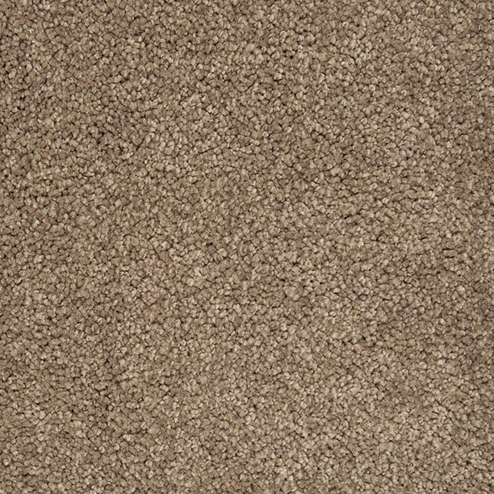 STAINMASTER PetProtect STP56-L021-0808 (Sample) Pawfection Midsummer Lights Brown 70-oz sq yard Triexta Textured Indoor Carpet