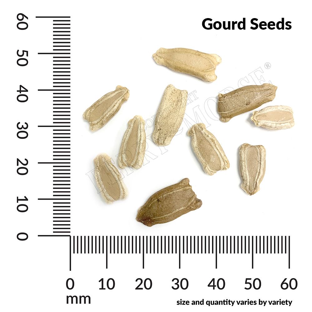 Ferry-Morse LC25.5743 seeds - View #4