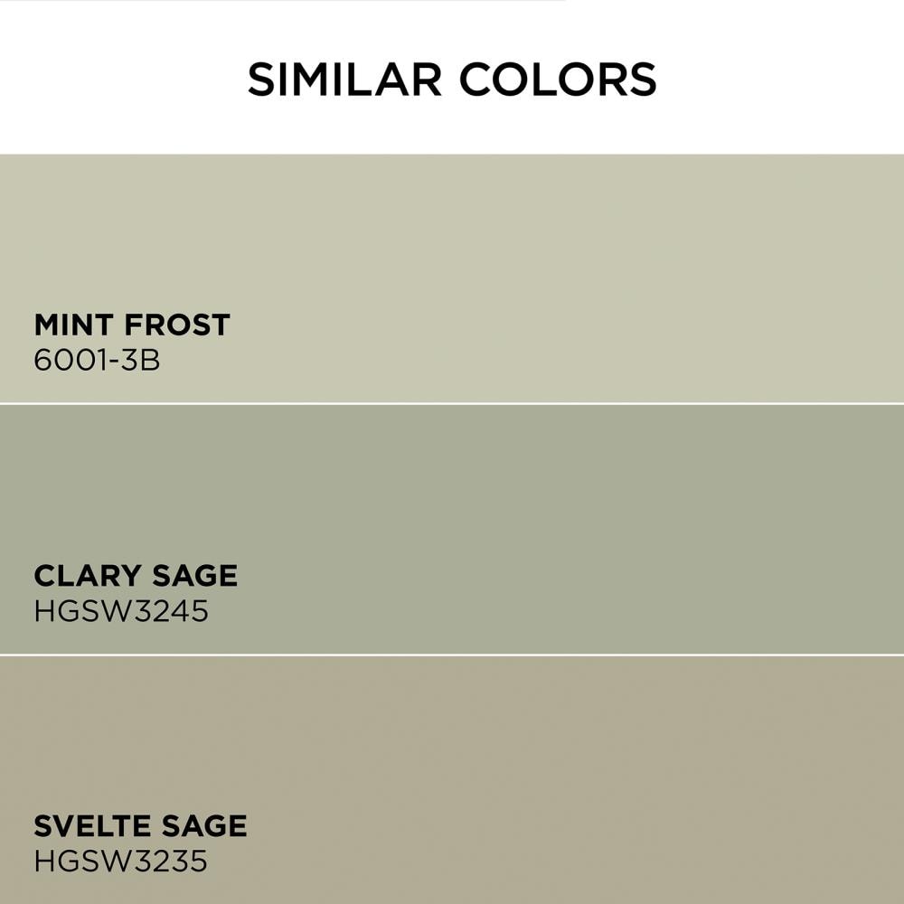 HGTV HOME by Sherwin-Williams 5008-1C-2557223 Int-Ext-Paint - View #6