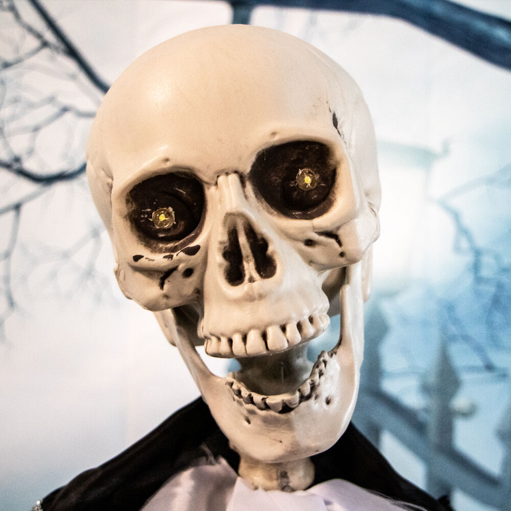 Haunted Hill Farm HHRPR-1FL Halloween-Animatronics - View #13
