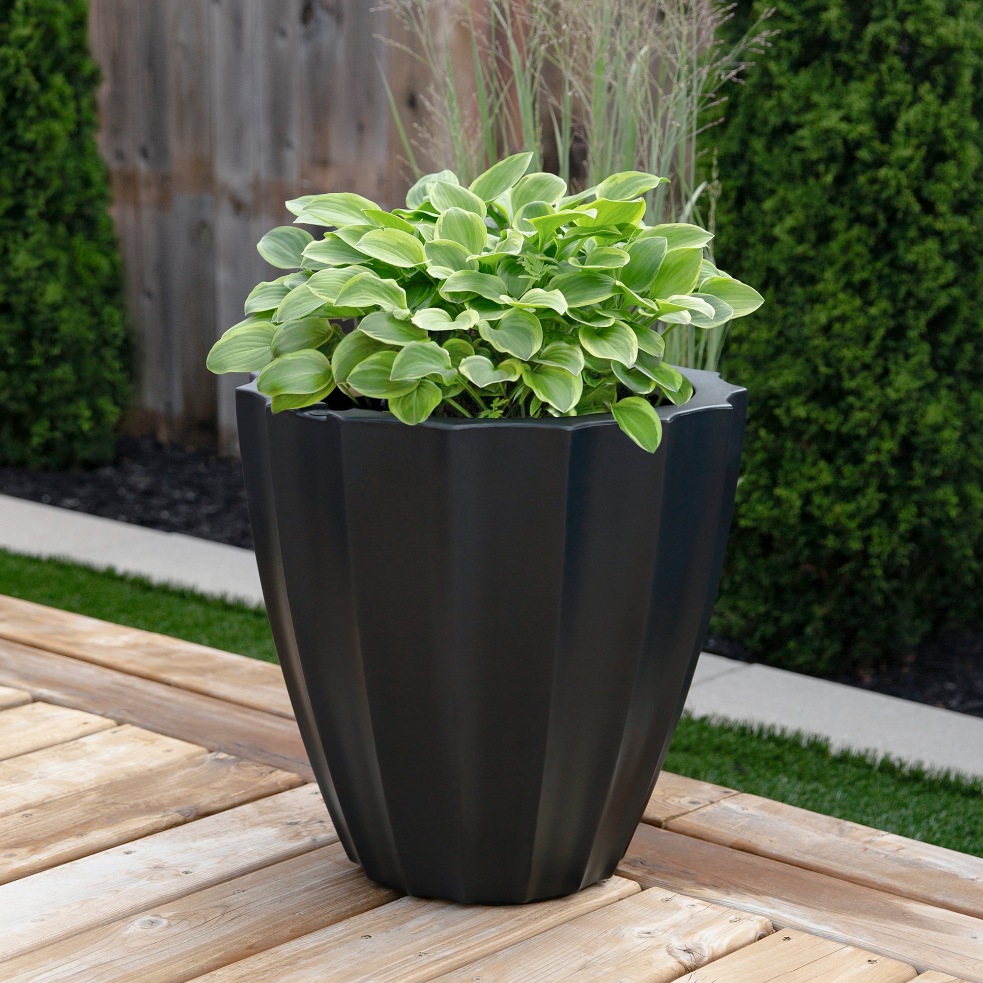 Mayne 2830-B Planter-Window-Box - View #3