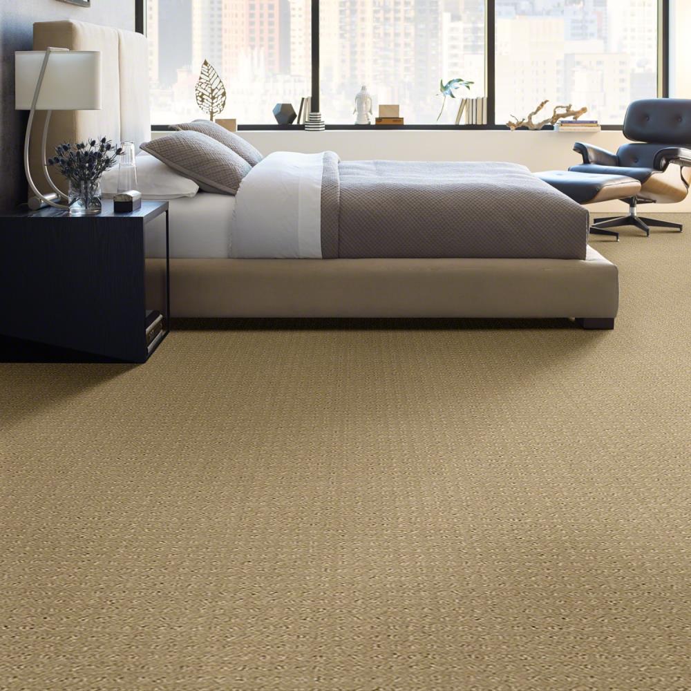 STAINMASTER Signature Framework Safari Pattern Carpet (Indoor) in the ...