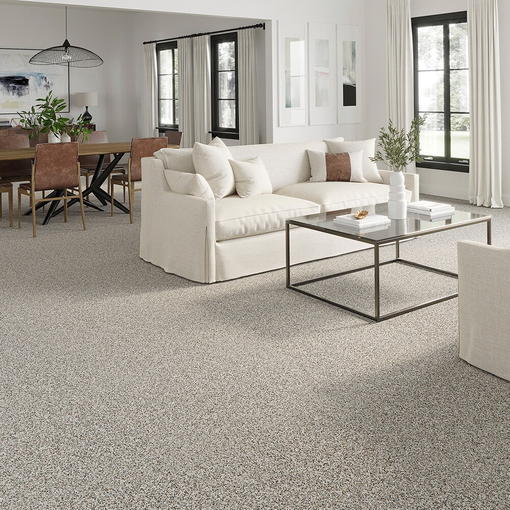 STAINMASTER PetProtect STP46-12-L003 Carpet-Panel - View #6