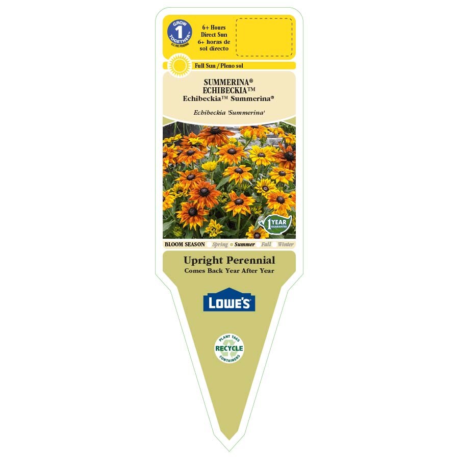 Lowe's 3936013  - View #2