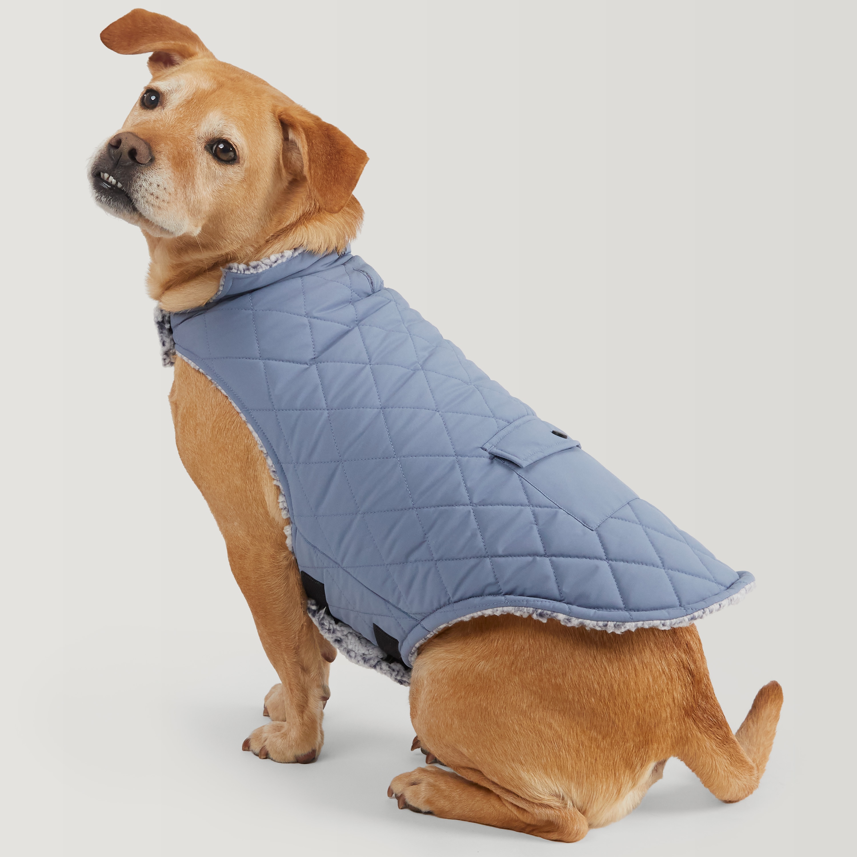 Free Country 467POF530R STONEW L Dog-Apparel - View #3