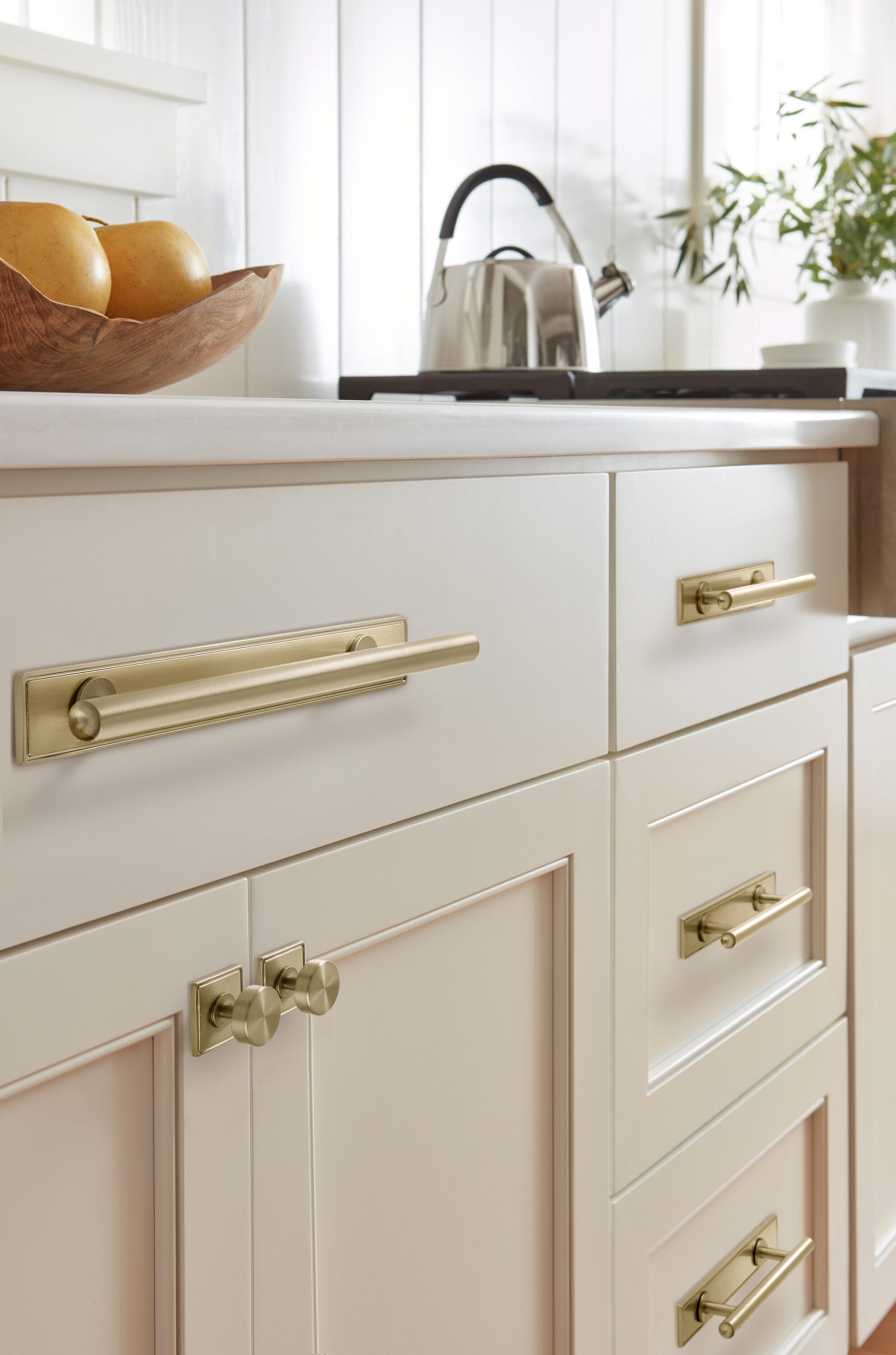 Amerock BP37605BBZ backplates - View #2