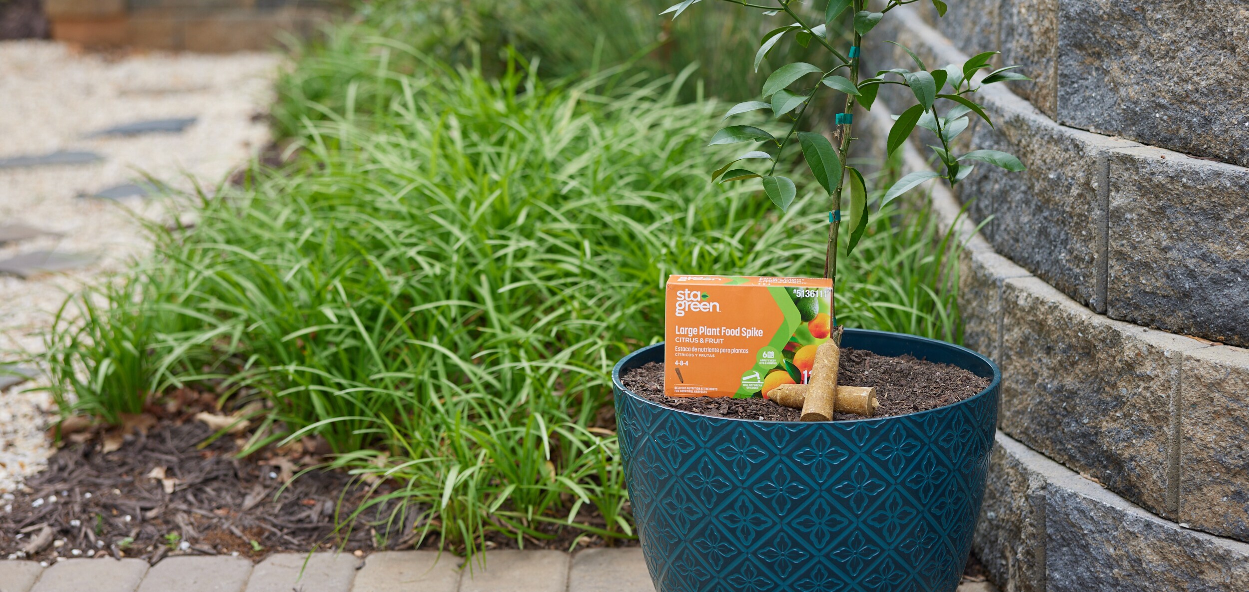 Sta-Green Large Plant Food Spike Citrus and Fruit 12-Count Spikes Tree Food  in the Plant Food department at Lowes.com