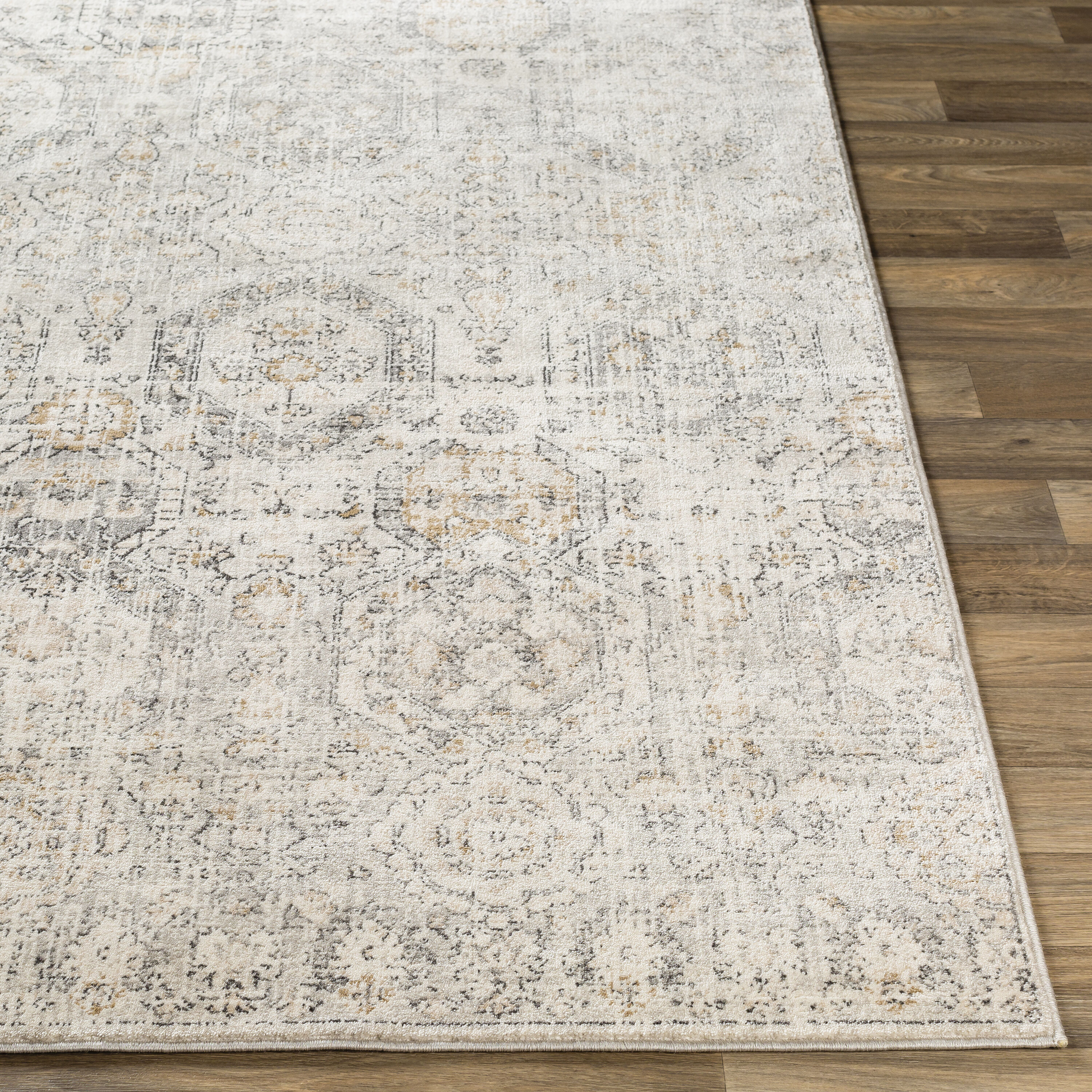 Livabliss IGO2306-2773 rugs - View #2