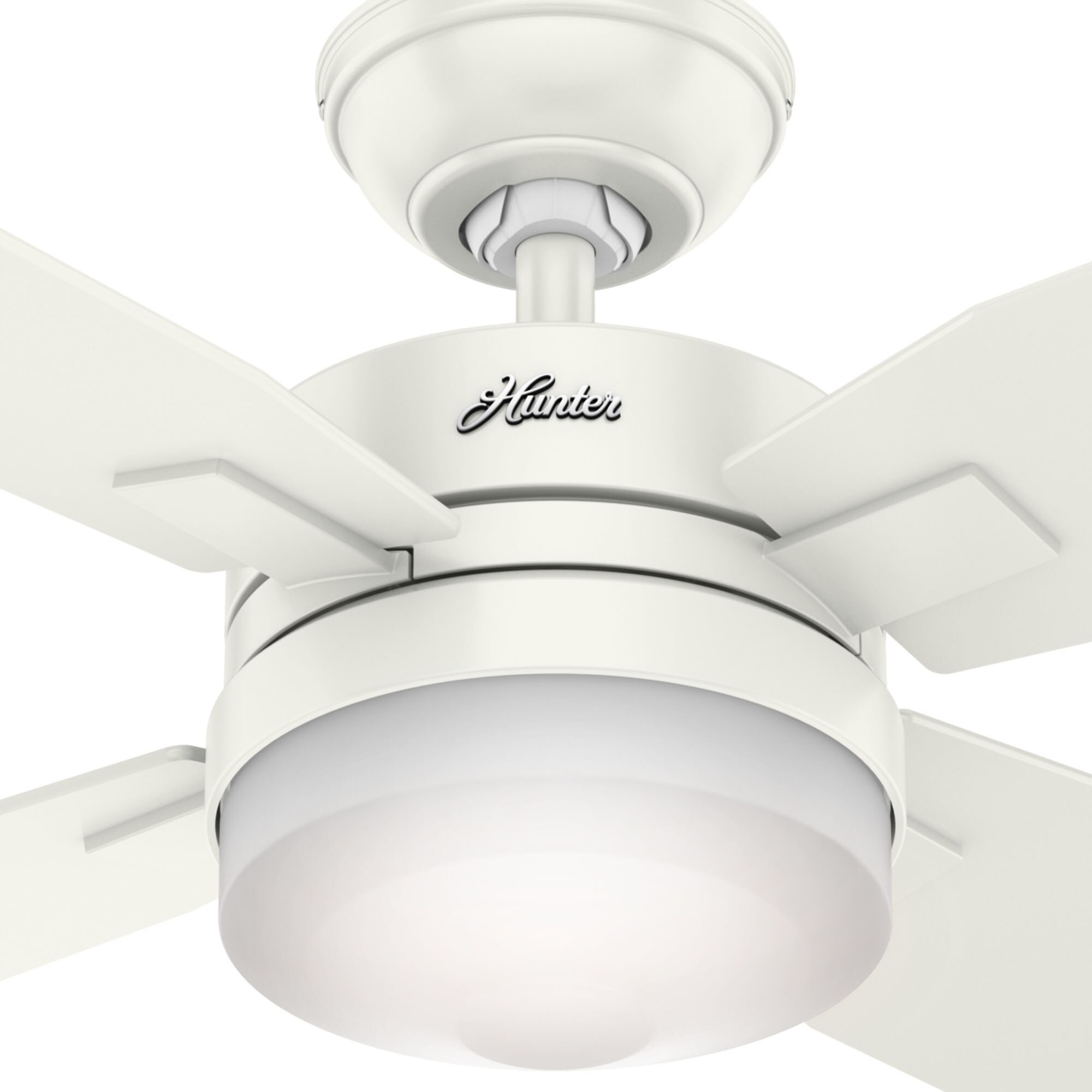 Hunter 59349 Ceiling-Fans - View #6
