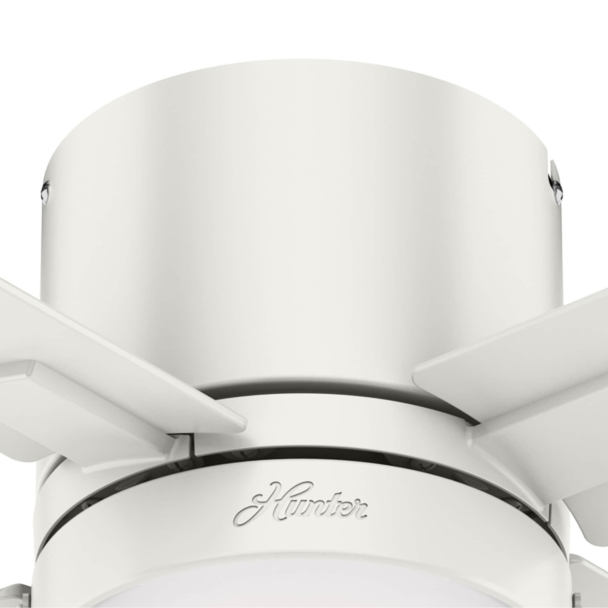 Hunter 50982 Ceiling-Fans - View #13