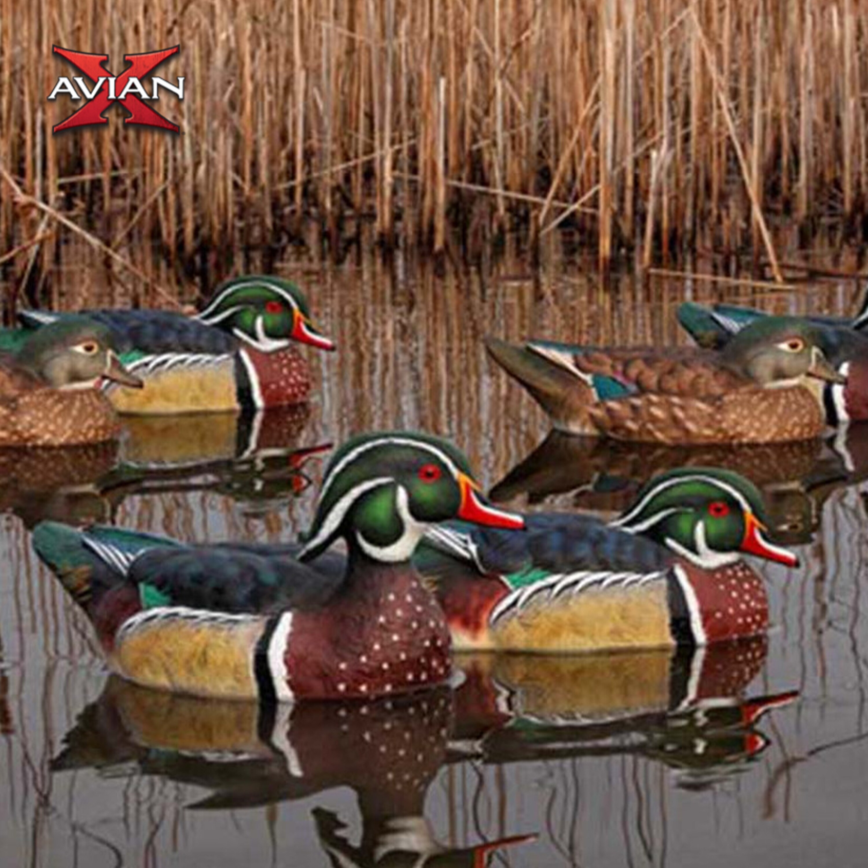  Avian X 408571 Hunting-Equipment - View #6