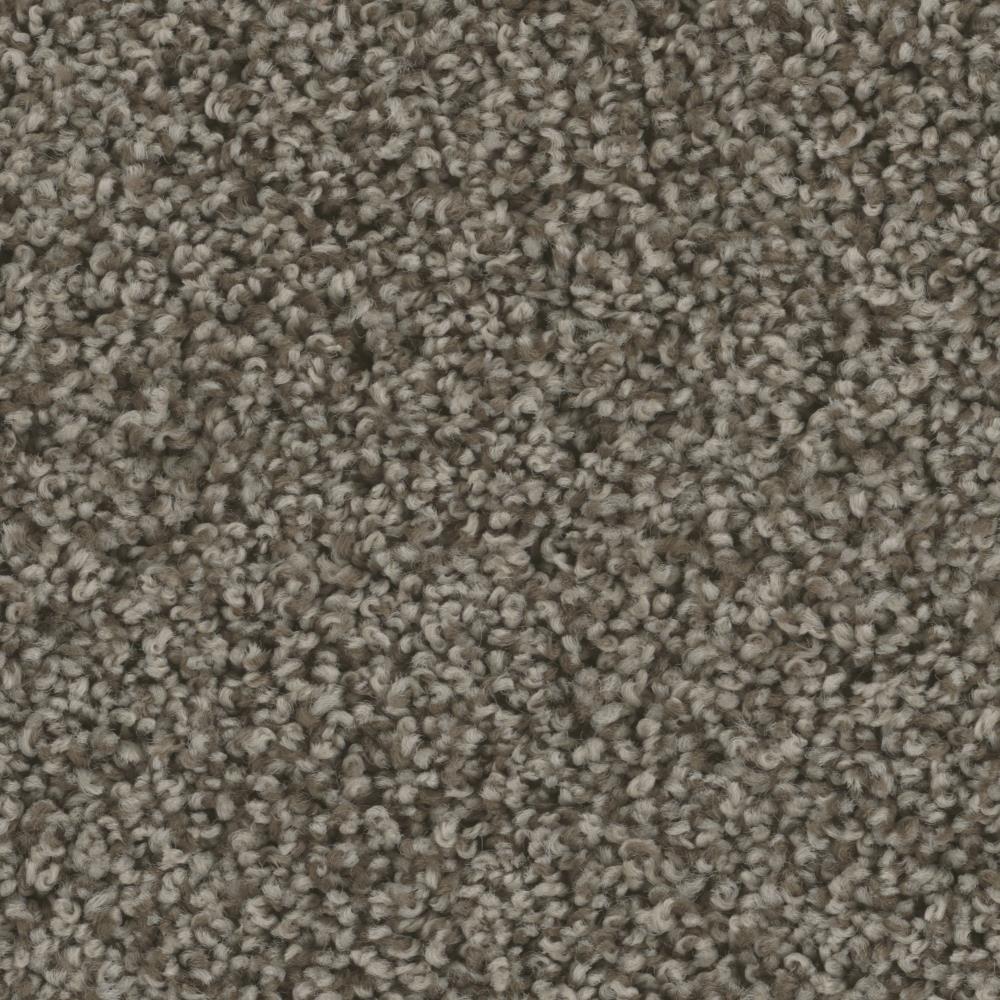 STAINMASTER S1077759PEERLES-7677 (Sample) Active Family Splendid Peerless Textured Carpet