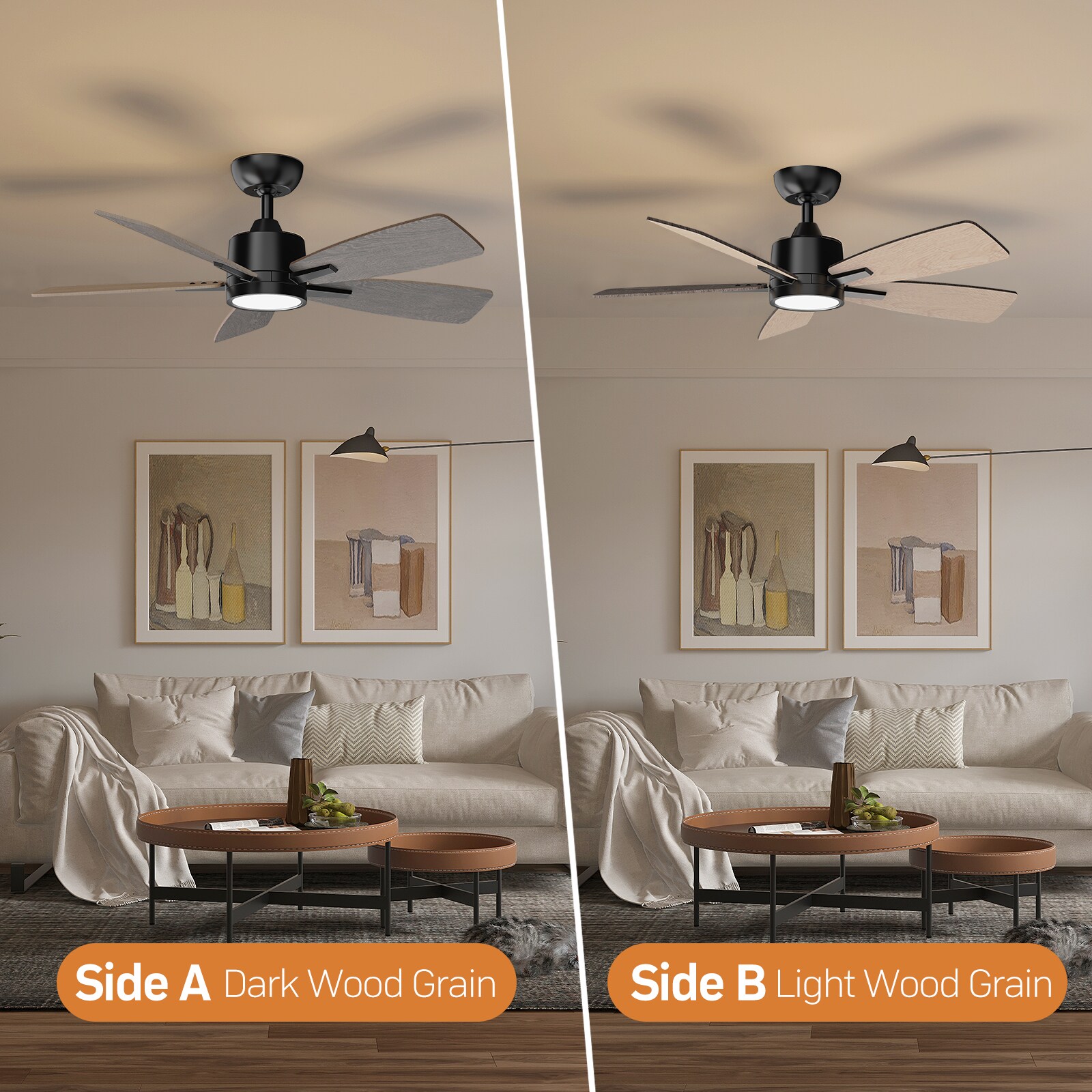 TALOYA TLY42-WE-5D-S5 Ceiling-Fans - View #7