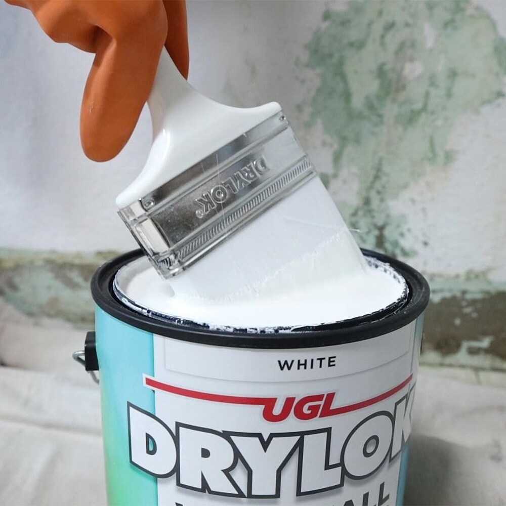 DRYLOK 773410 Paint-Brushes - View #6