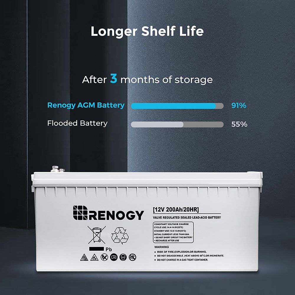 Renogy AGM Battery Rechargeable Sealed Lead Acid 121000 Generator Batteries  in the Device Replacement Batteries department at