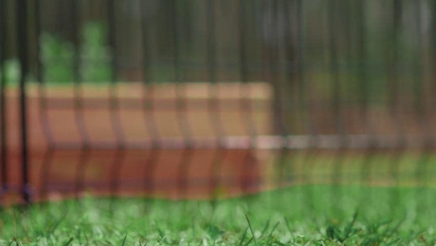 A thumbnail for the video