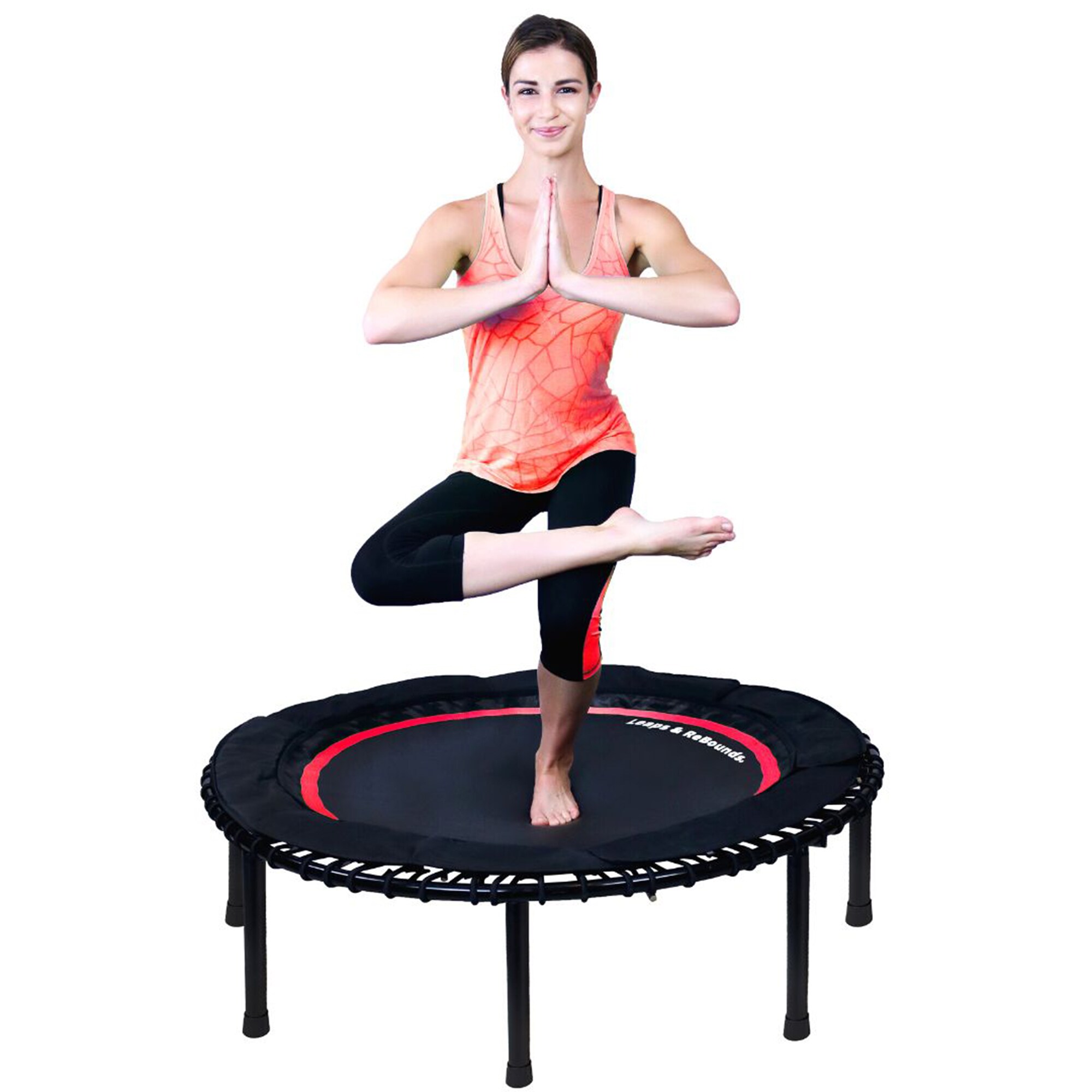 Leaps & ReBounds 312899 trampolines - View #6