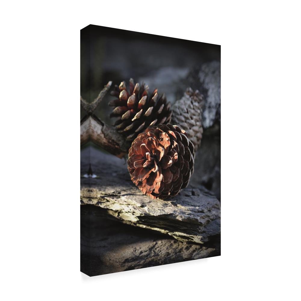 Trademark Fine Art CSL00256-C2232GG Wall-Art - View #2